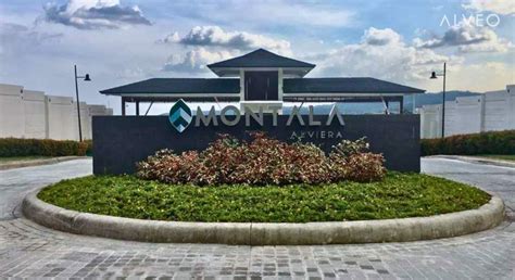 montala alviera|Alviera .